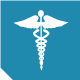 Healthcare Authentication Icon